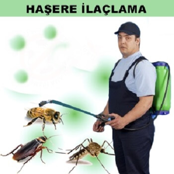 Lalapaşa Böcek İlaçlama